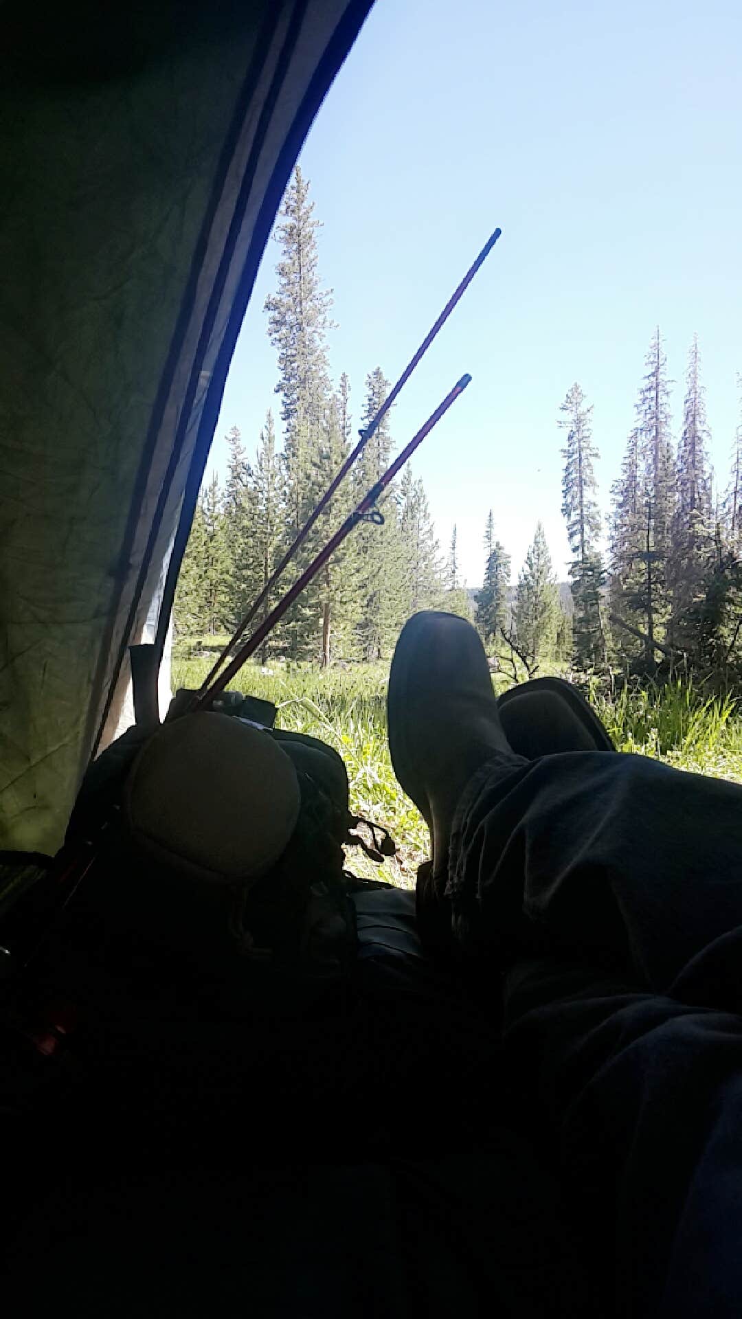 Camper-submitted photo at Brooks Lake Campground near Shoshone National Forest