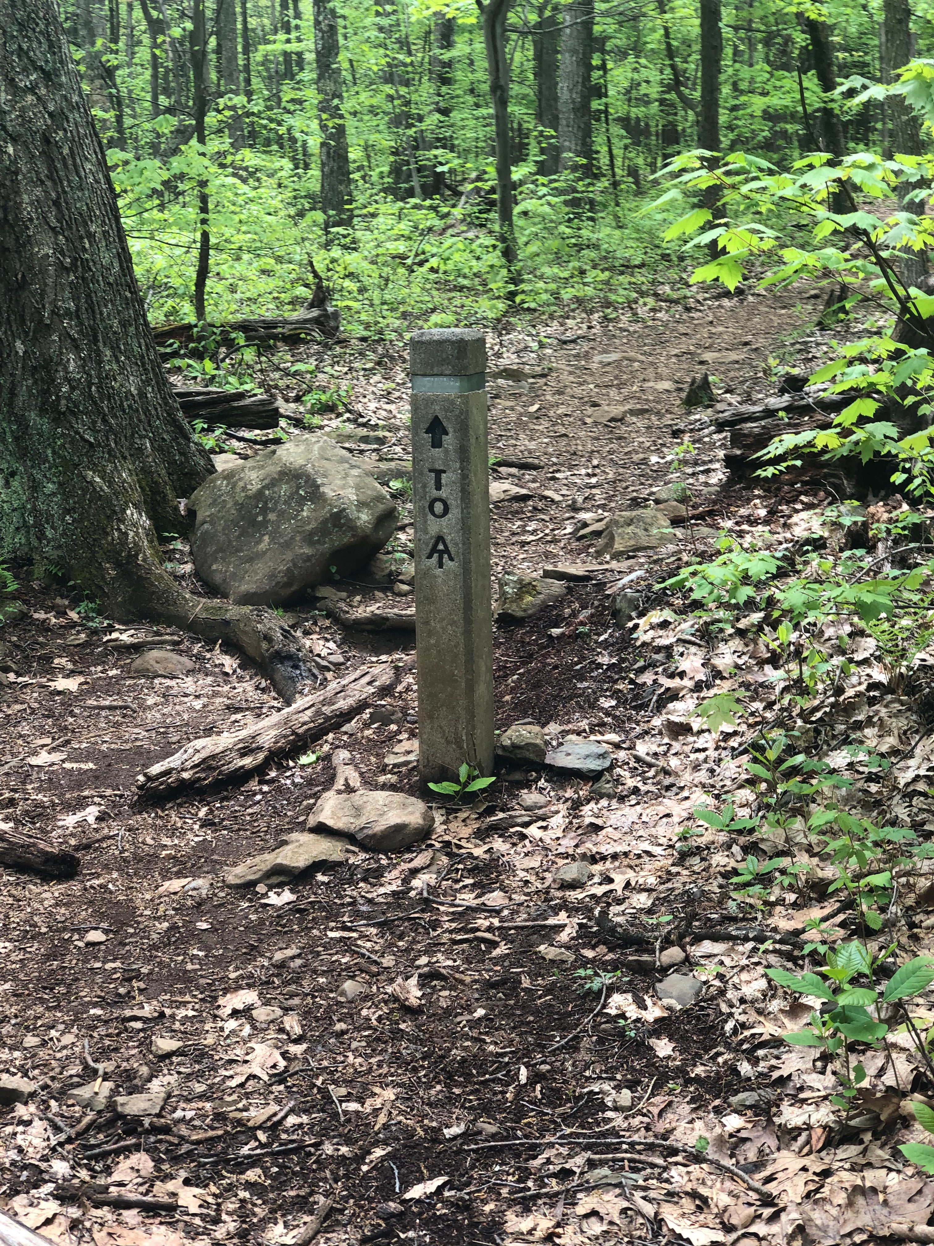 The trailhead at Mathews Arm Campground had trails that connect to the Appalachian Trail.