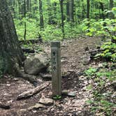 Review photo of Shenandoah National Park Dispersed Sites — Shenandoah National Park by Amanda D., May 9, 2019