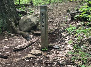 Shenandoah National Park Dispersed Sites — Shenandoah National Park