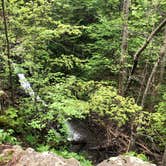 Review photo of Shenandoah National Park Dispersed Sites — Shenandoah National Park by Amanda D., May 9, 2019