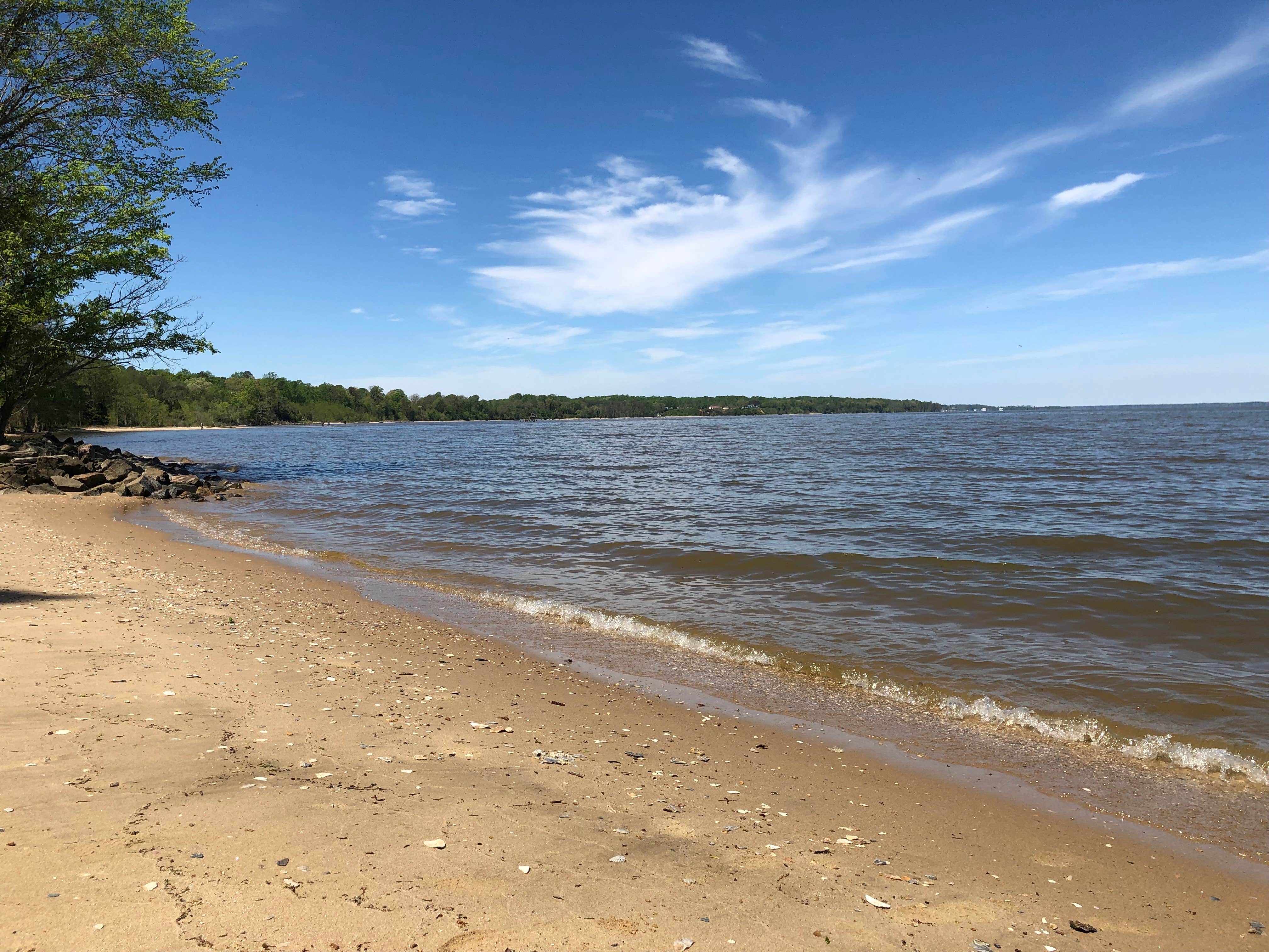 Camper submitted image from Chippokes State Park Campground - 3