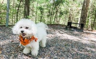 Amanda D.'s photo of camping with pets at Chippokes State Park Campground in Virginia