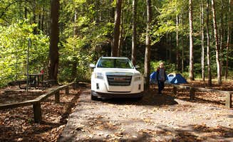 Davina B.'s photo at Rock Creek Campground — Obed Wild and Scenic River near Robbins, TN