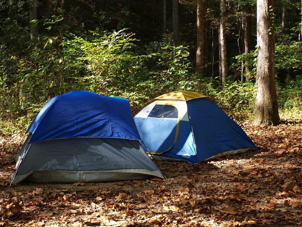 Davina B.'s photo of tent camping at Rock Creek Campground — Obed Wild and Scenic River near Pall Mall, TN