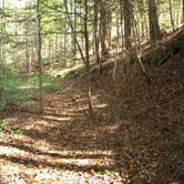 Review photo of Rock Creek Campground — Obed Wild and Scenic River by Davina B., May 9, 2019