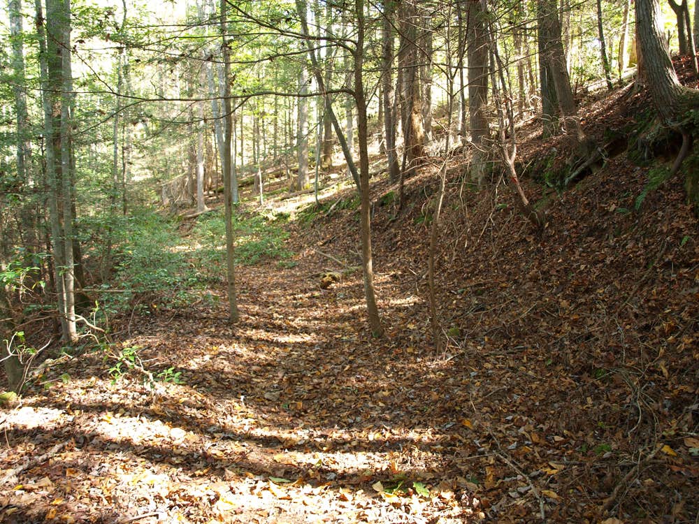 Camper submitted image from Rock Creek Campground — Obed Wild and Scenic River - 4