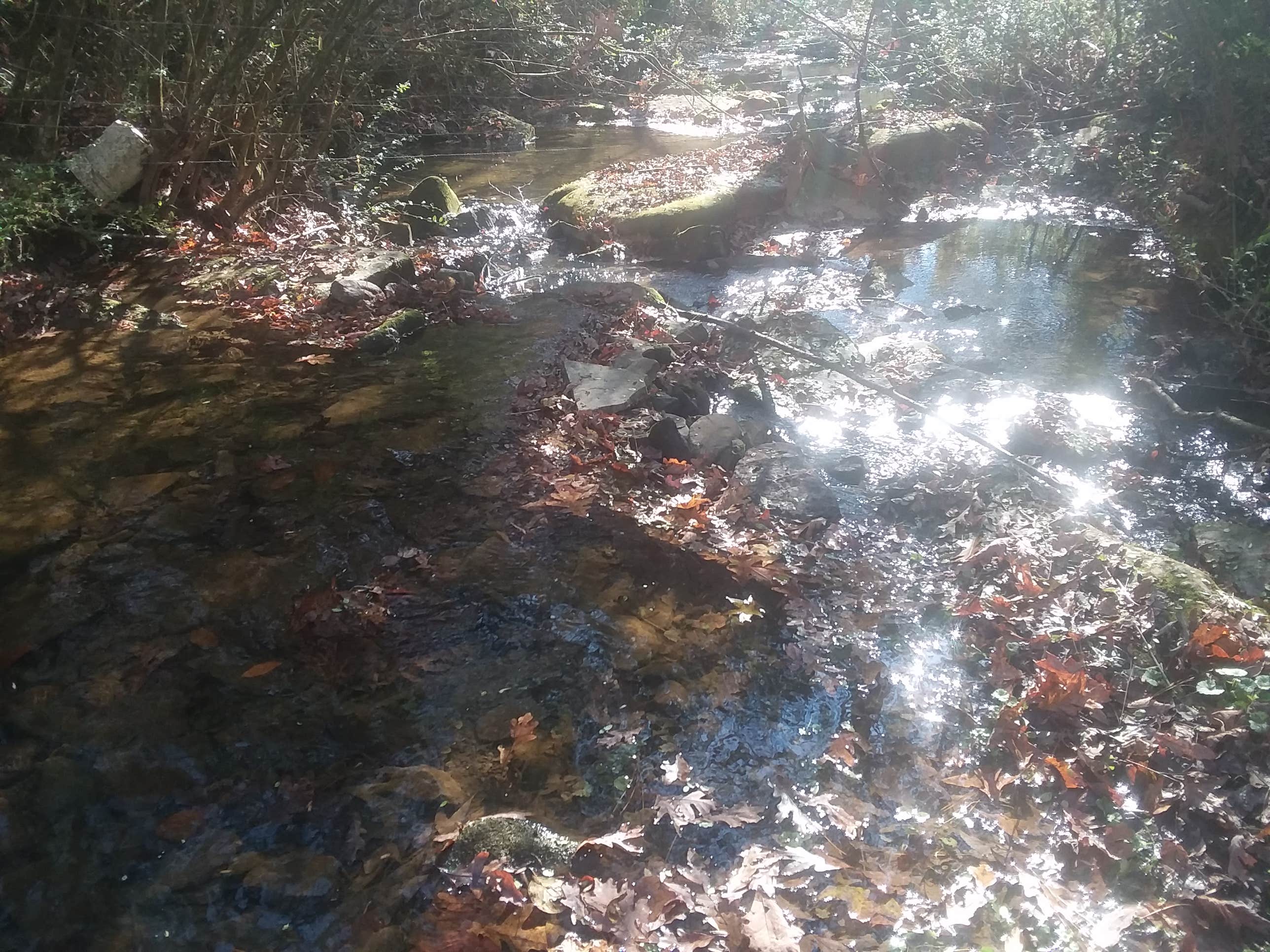 Camper-submitted photo at Tomahawk Campground near Cullman, AL