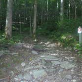 Review photo of Elkmont Campground — Great Smoky Mountains National Park by Davina B., May 9, 2019