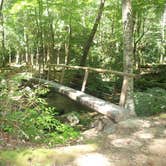 Review photo of Elkmont Campground — Great Smoky Mountains National Park by Davina B., May 9, 2019