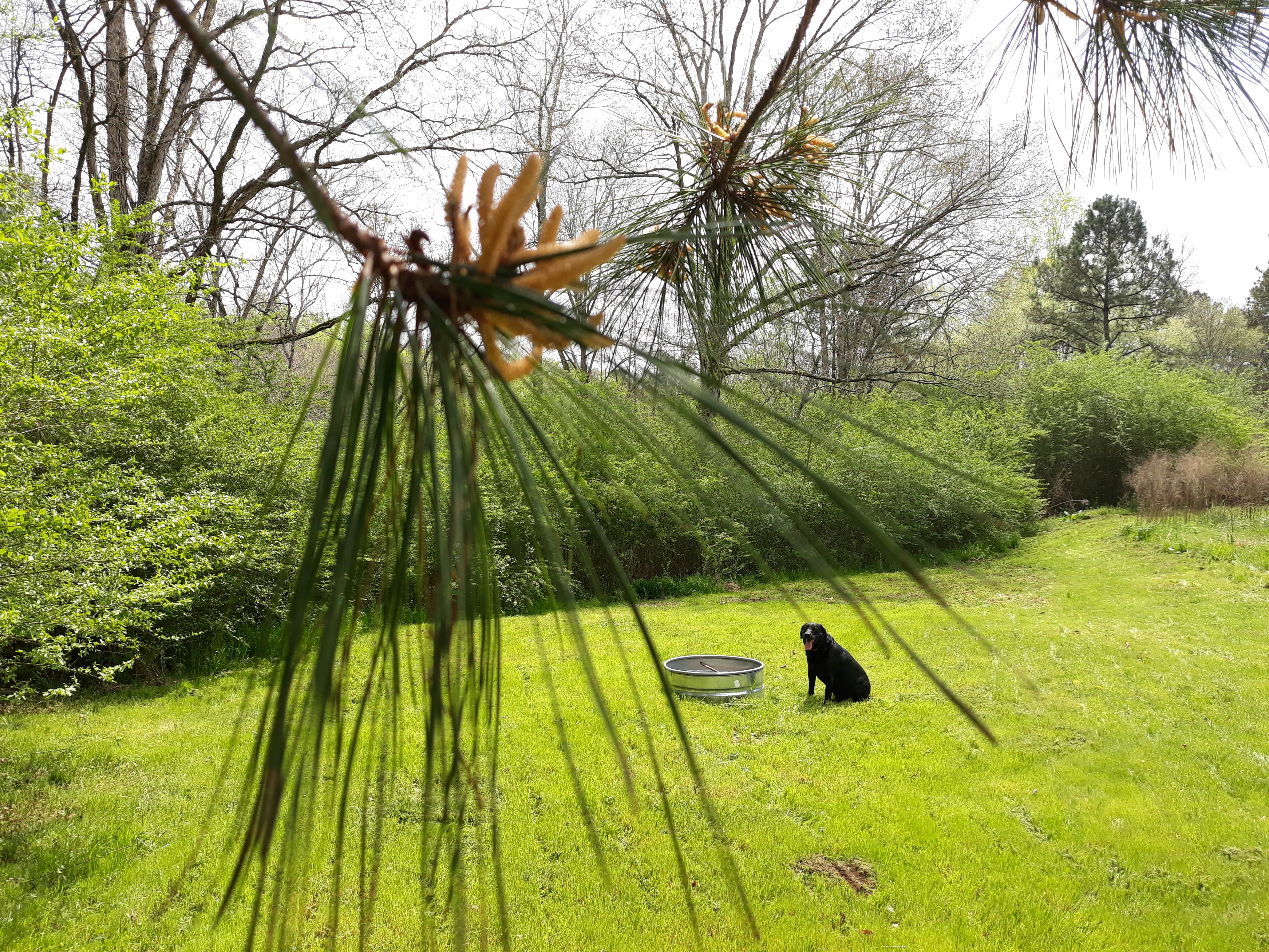 Camper-submitted photo at Tomahawk Campground near Cullman, AL