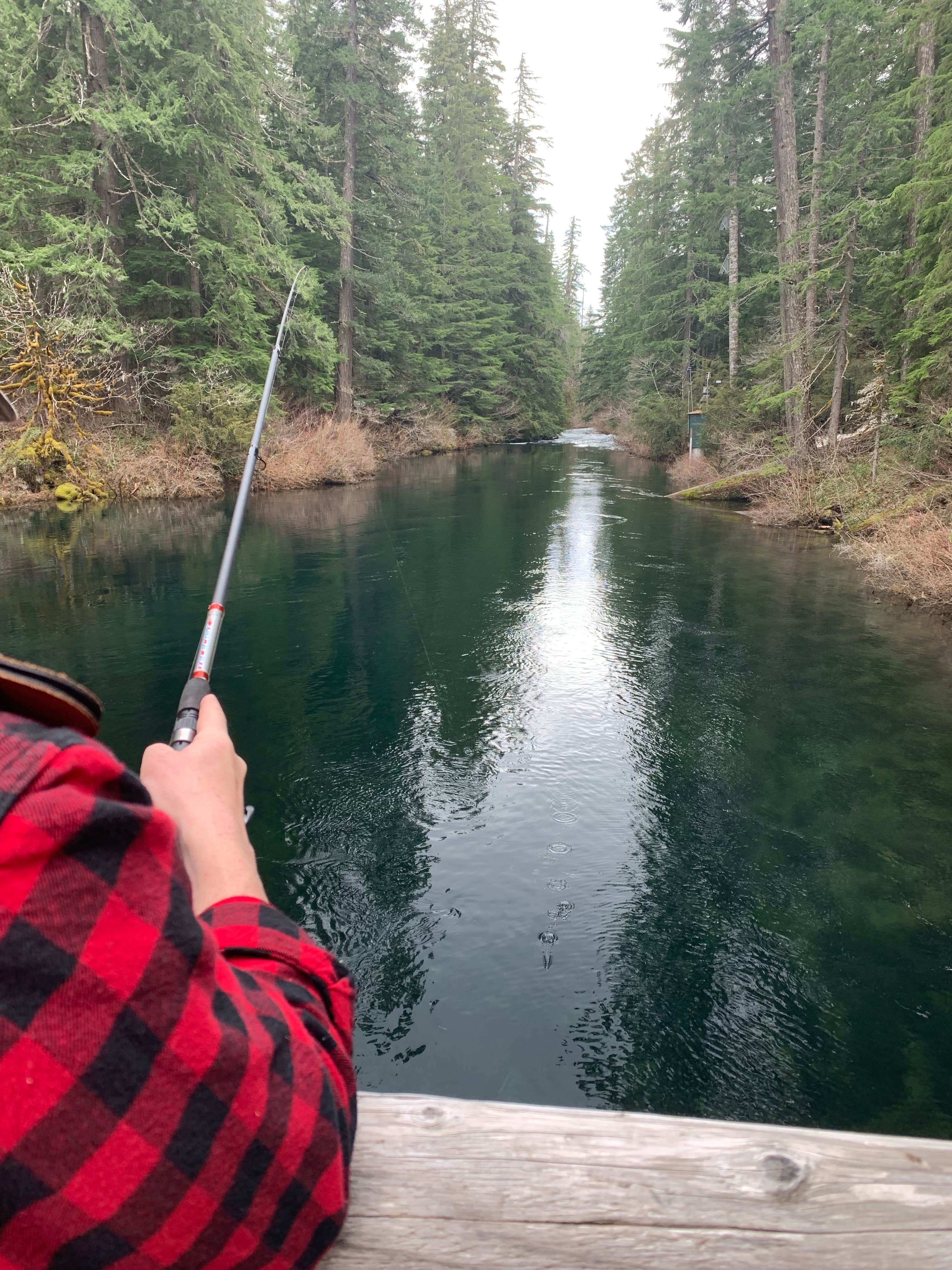 Camper submitted image from Clear Lake Resort - 5