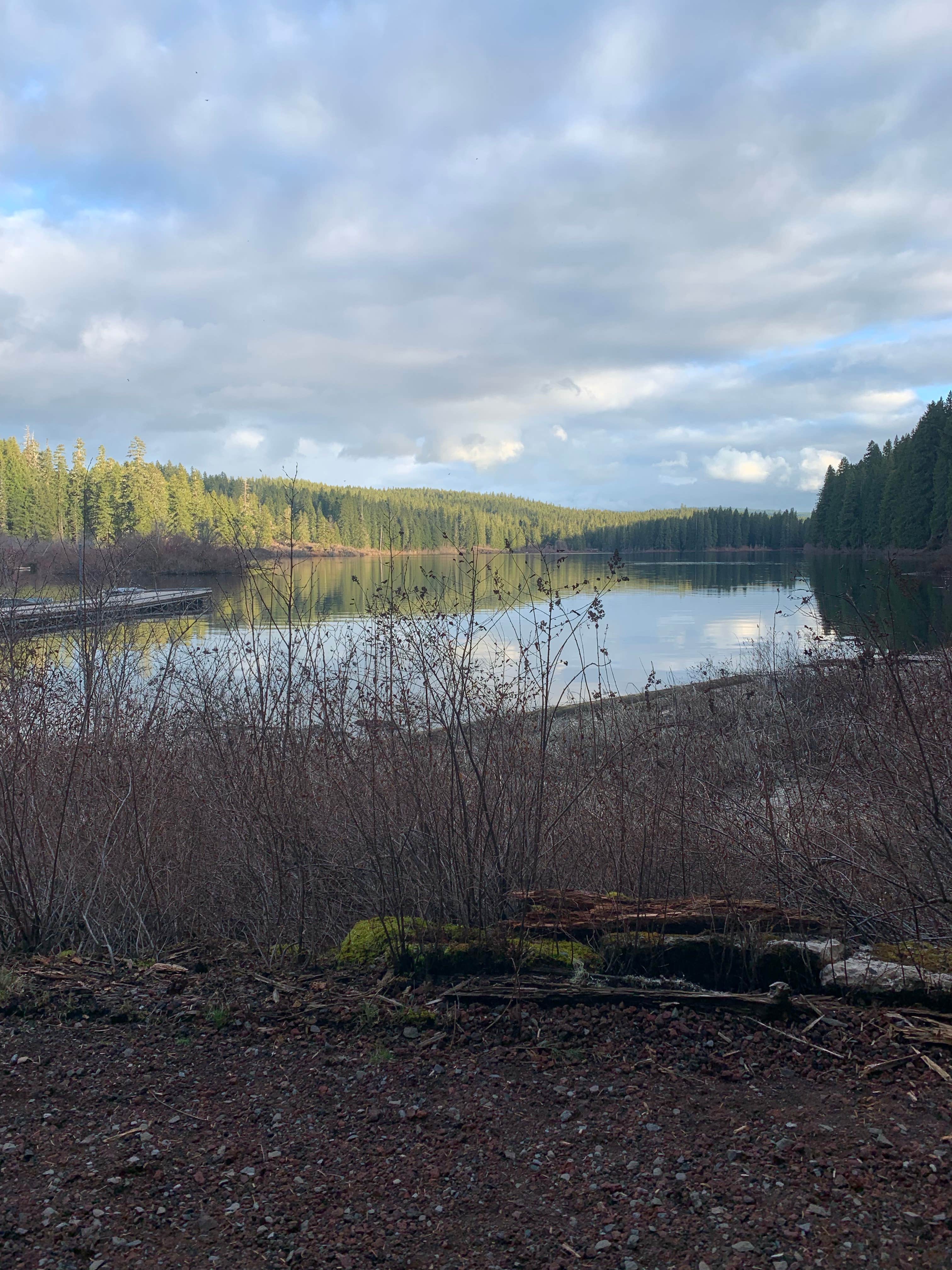 Camper-submitted photo at Clear Lake Resort near Mckenzie Bridge, OR