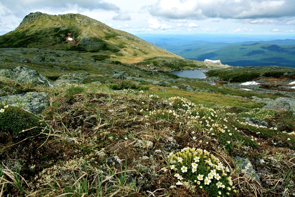 Camper-submitted photo at Lakes of the Clouds Hut near Randolph, NH