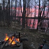 Review photo of Superior National Forest Fall Lake Campground by Tyler D., May 9, 2019