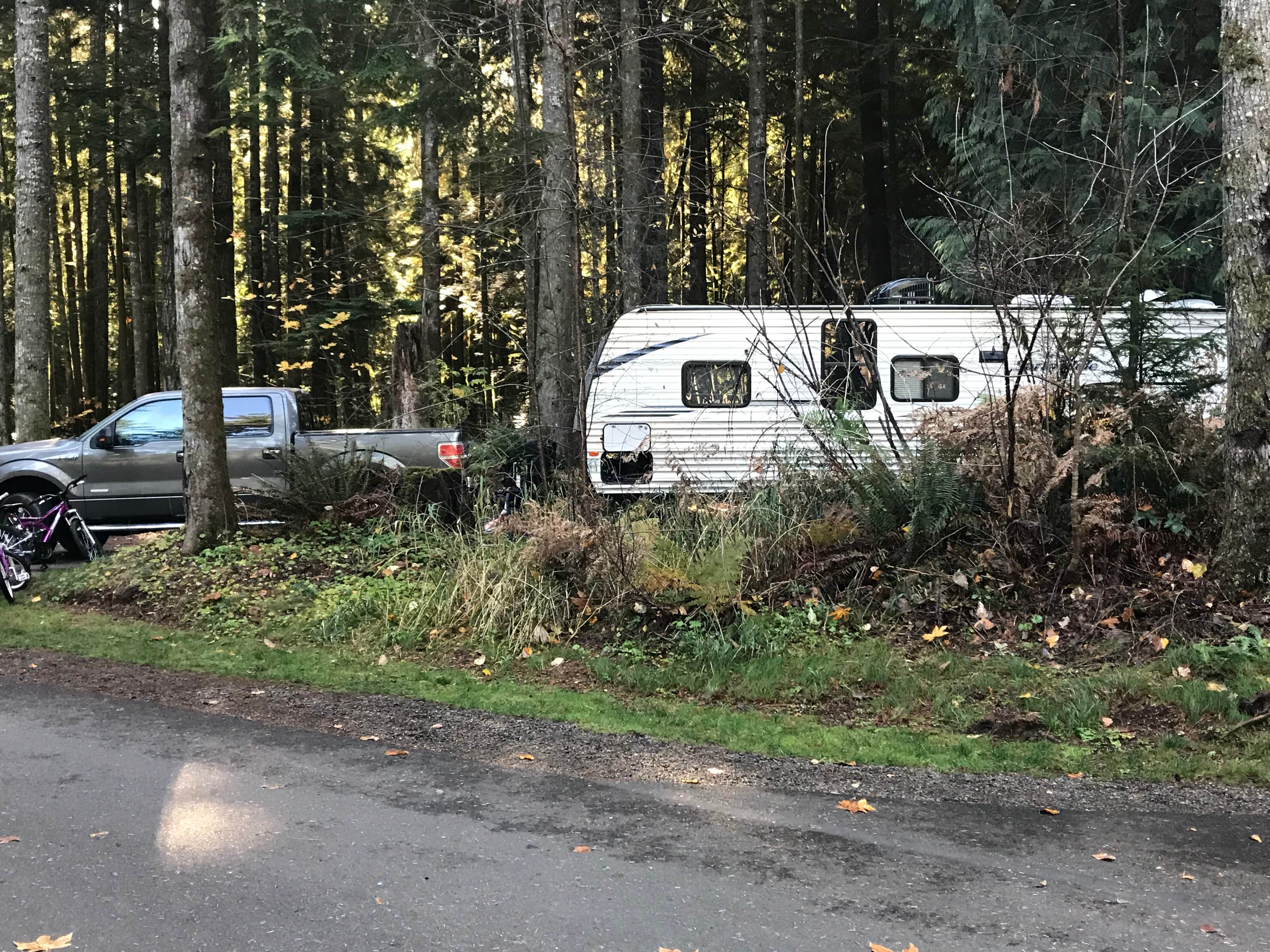 Sharla H.'s photo of rv camping at Taidnapam Park near Mineral, WA