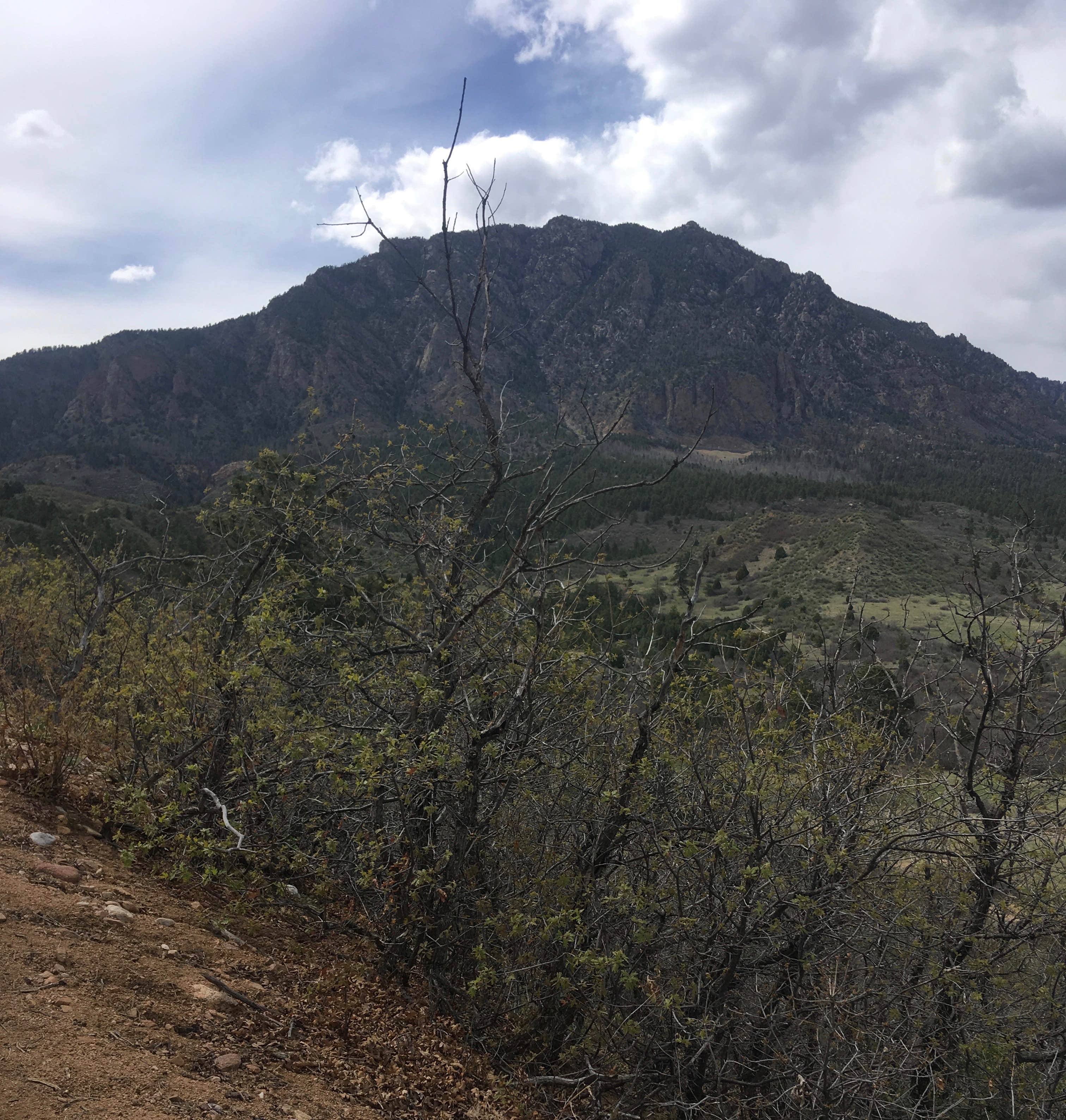 Camper submitted image from The Meadows Campground — Cheyenne Mountain State Park - 2