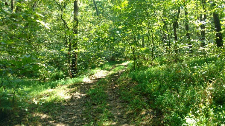 Camper-submitted photo at Fall Hollow Resort near Williamsport, TN