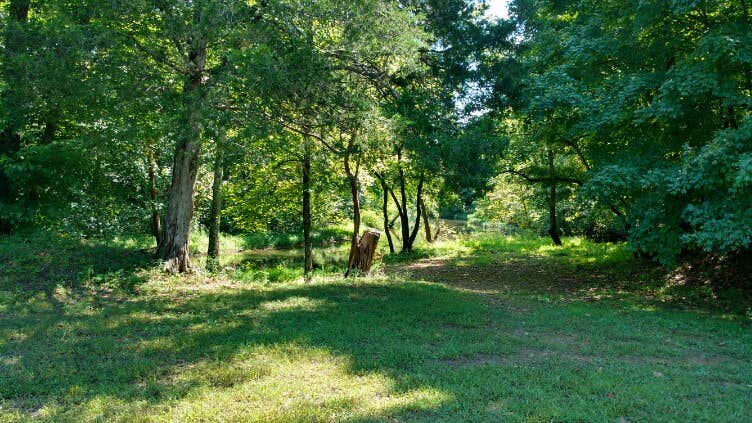 Camper-submitted photo at Fall Hollow Resort near Williamsport, TN