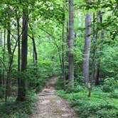 Review photo of Lake Reidsville Recreation Park by Joy A., May 9, 2019