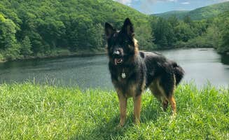Joy A.'s photo of camping with pets at Sherando Lake Campground near Montebello, VA