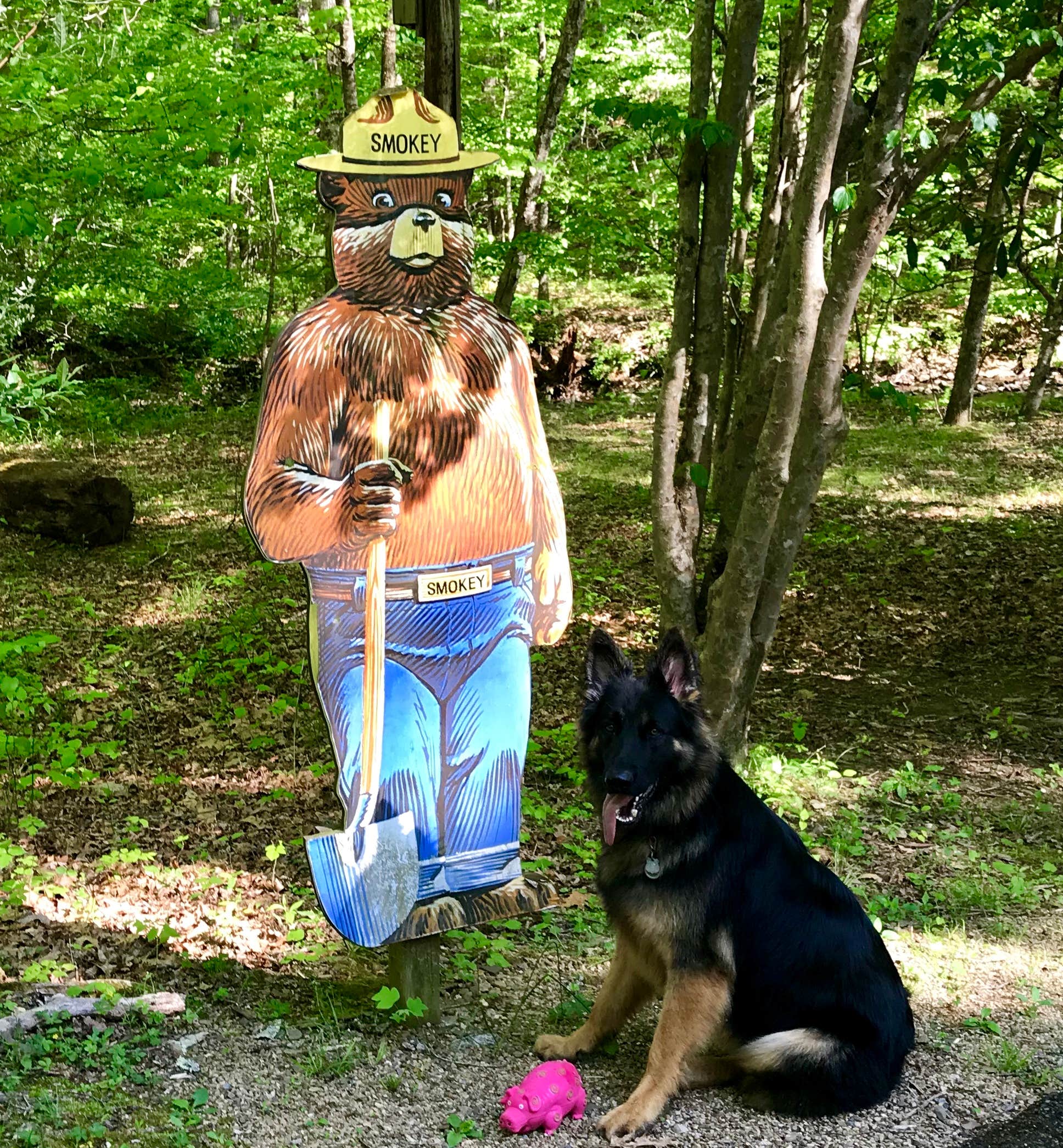 Joy A.'s photo of camping with pets at Sherando Lake Campground near Nellysford, VA
