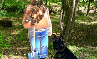 Joy A.'s photo of camping with pets at Sherando Lake Campground near Montebello, VA