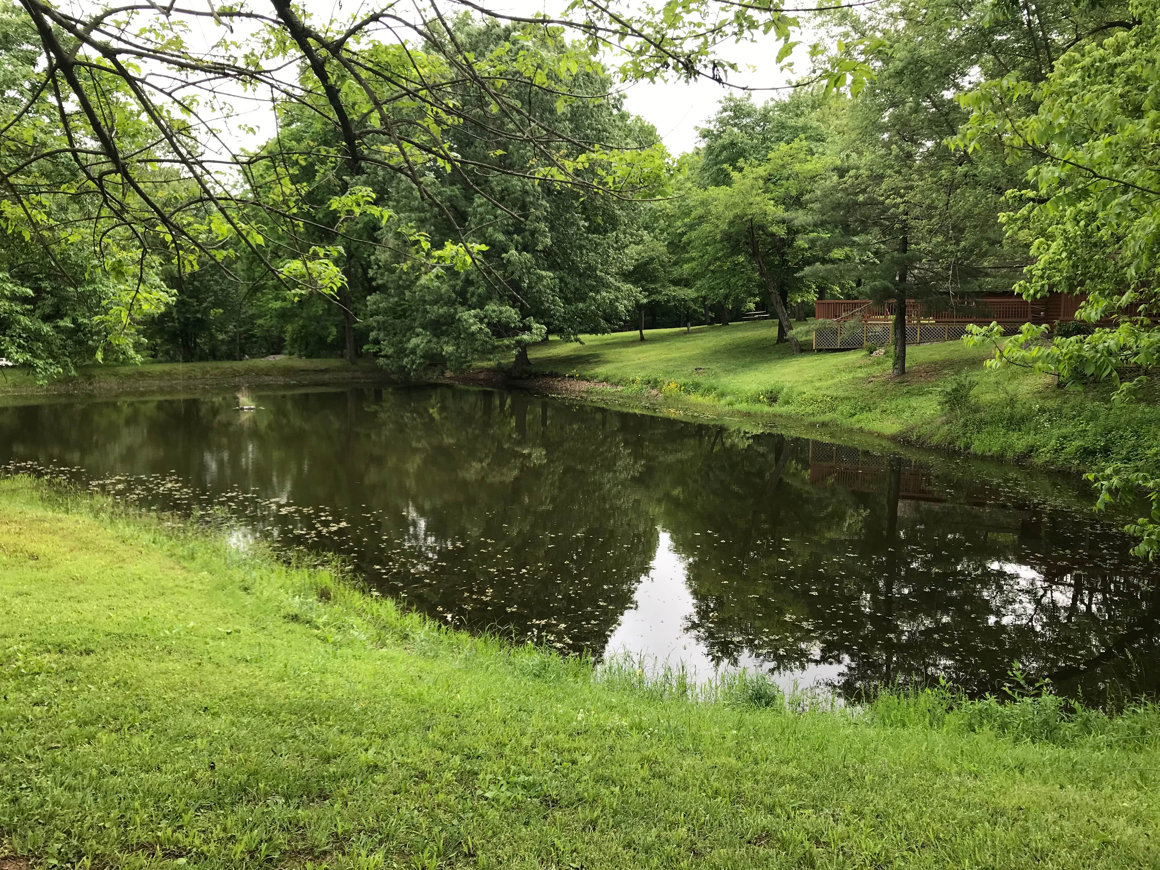 Camper-submitted photo at Paducah-Kentucky Lake KOA near Grand Rivers, KY