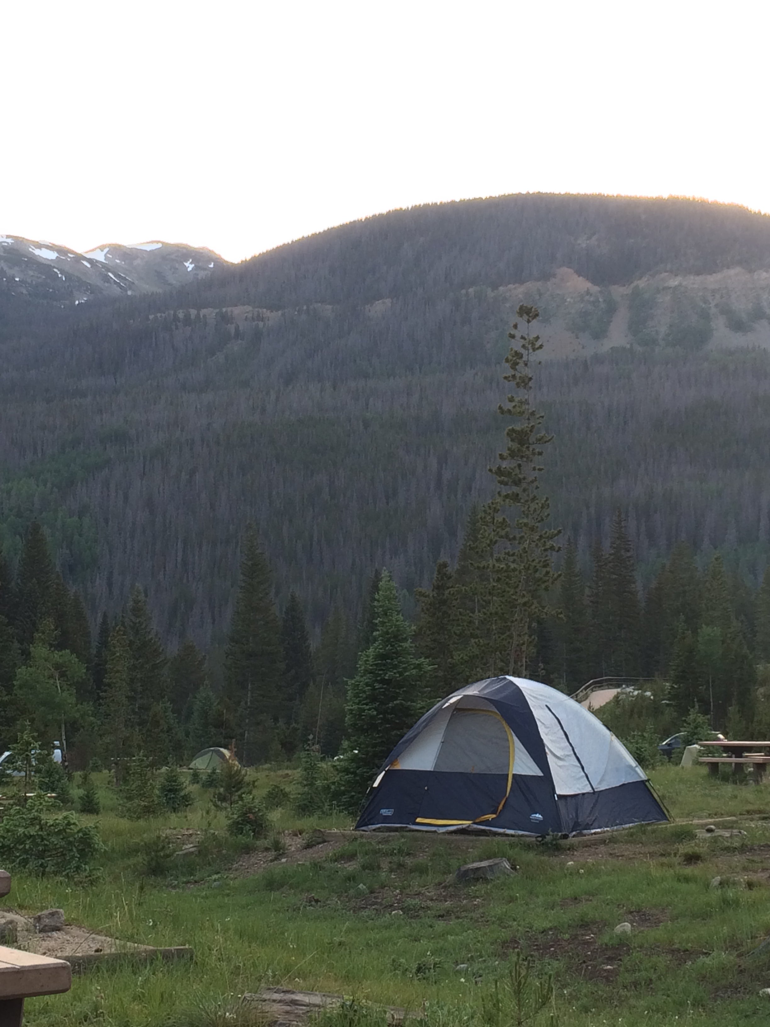 Camper submitted image from Timber Creek Campground — Rocky Mountain National Park - 4