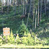 Review photo of Timber Creek Campground — Rocky Mountain National Park by Kelsey W., August 29, 2016
