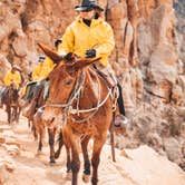 Review photo of Mather Campground — Grand Canyon National Park by Sapphire J., May 8, 2019