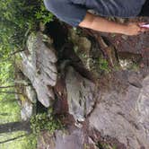 Review photo of Fall Creek Falls State Park Campground by Robert C., May 10, 2019