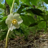 Review photo of Shakamak State Park — Shakamak Prairie Nature Preserve by Stephen & Theresa B., May 10, 2019