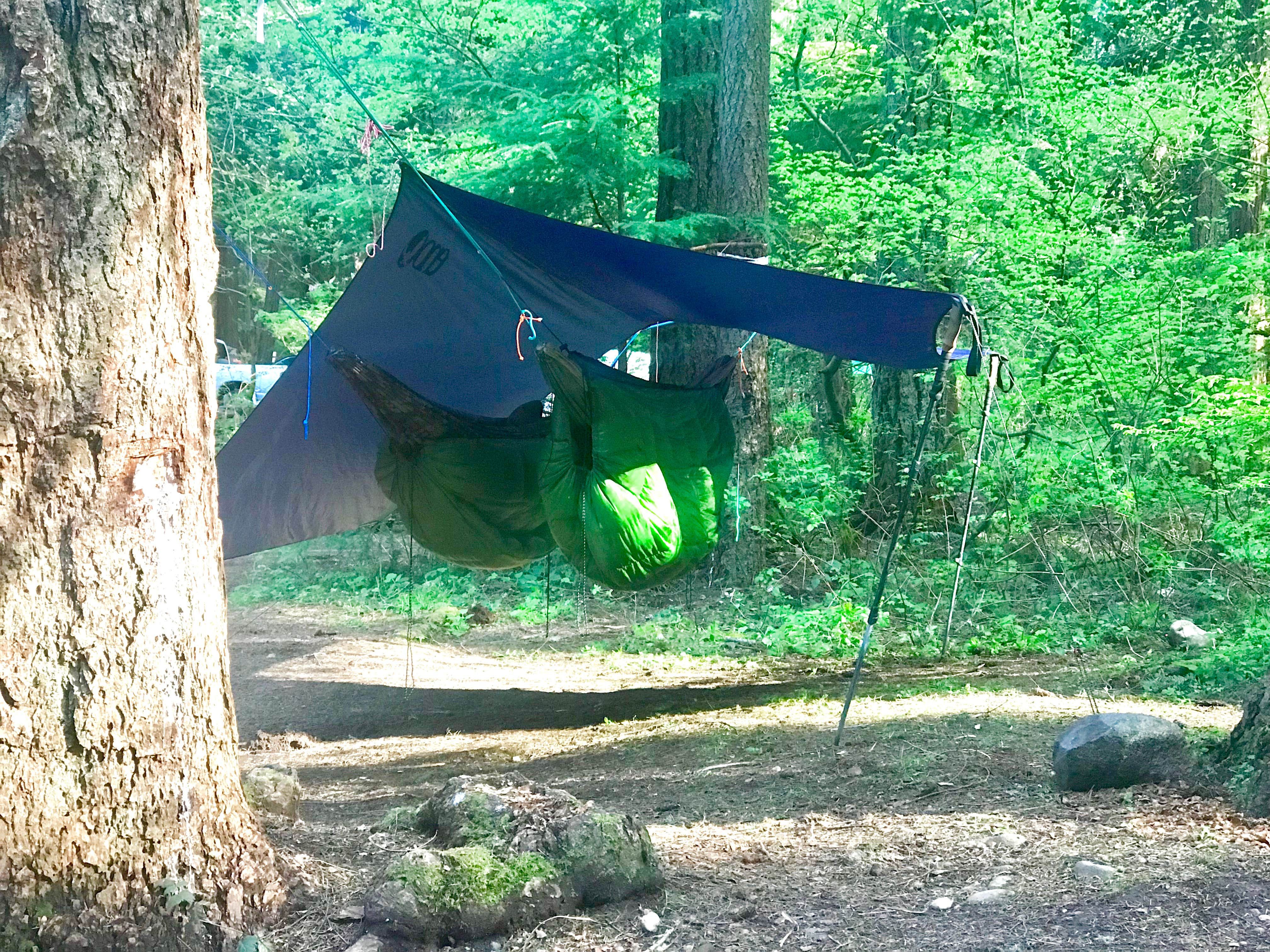 Ariana H.'s photo at Millersylvania State Park Campground near Tumwater, WA