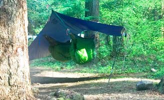 Ariana H.'s photo at Millersylvania State Park Campground near Tumwater, WA