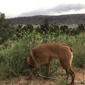 Review photo of Ken's Lake Campground by Chris S., May 10, 2019