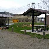 Review photo of Holter Dam Rec. Site Campground by Dexter I., May 10, 2019