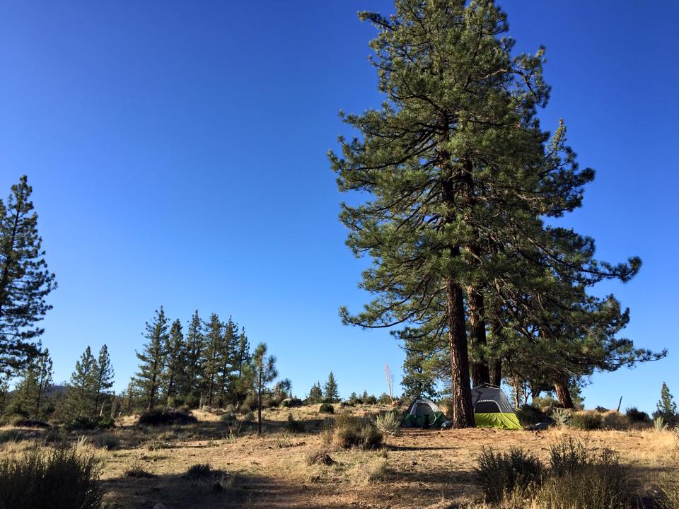 Camper submitted image from Angeles National Forest Meadow Group Campground - 1