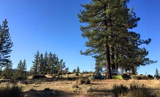 Camping near Little pine campground: Angeles National Forest Meadow Group Campground, Mount Wilson, California