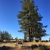 Review photo of Angeles National Forest Meadow Group Campground by Jo R., August 29, 2016