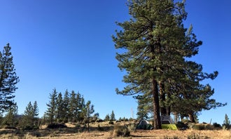 Camping near Monte Cristo Campground: Angeles National Forest Meadow Group Campground, Mount Wilson, California