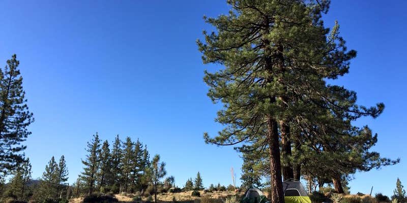 Camper submitted image from Angeles National Forest Meadow Group Campground