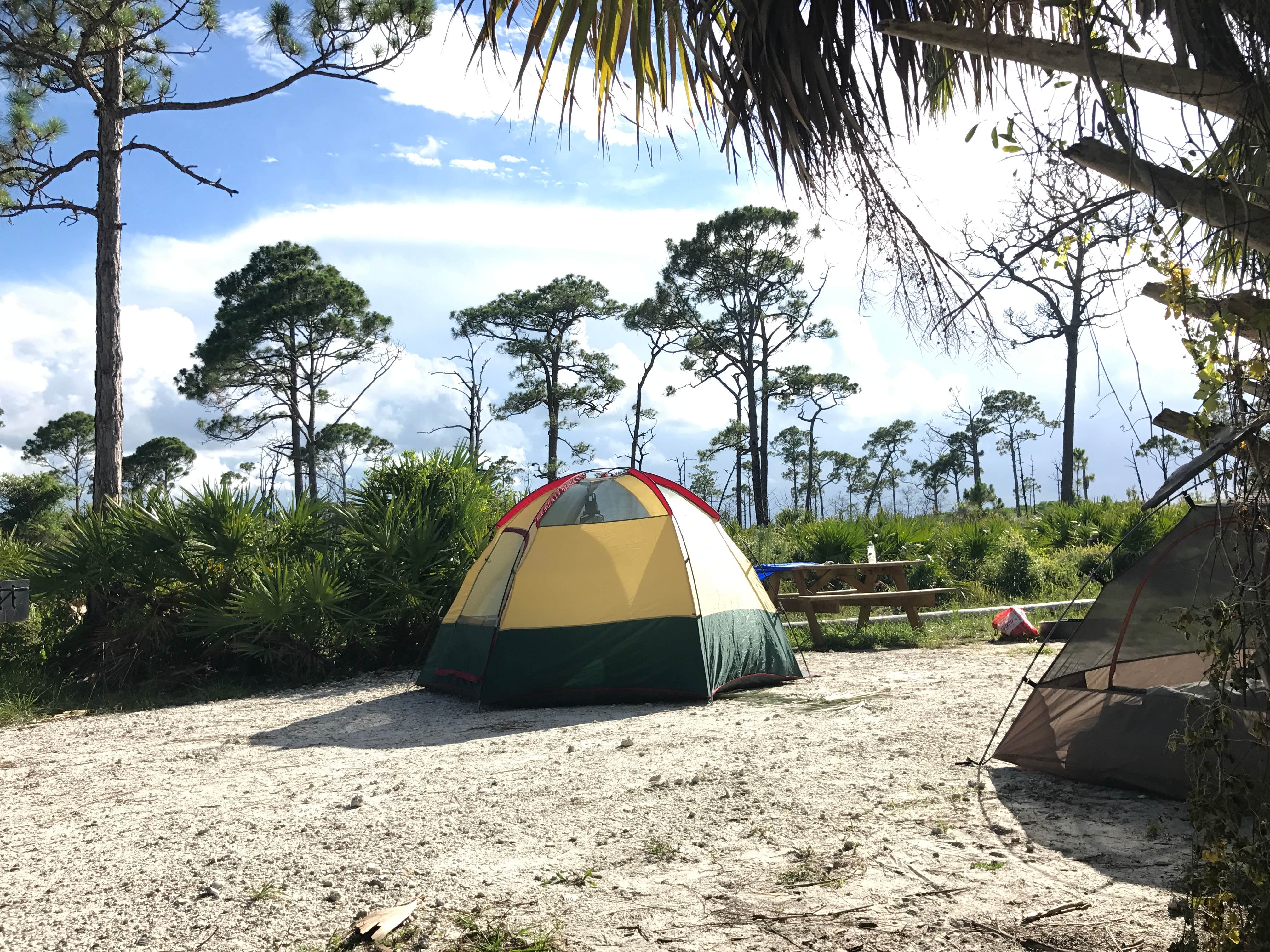 Michele J.'s photo at Pine Grove Campground — Jonathan Dickinson State Park near Boynton Beach, FL
