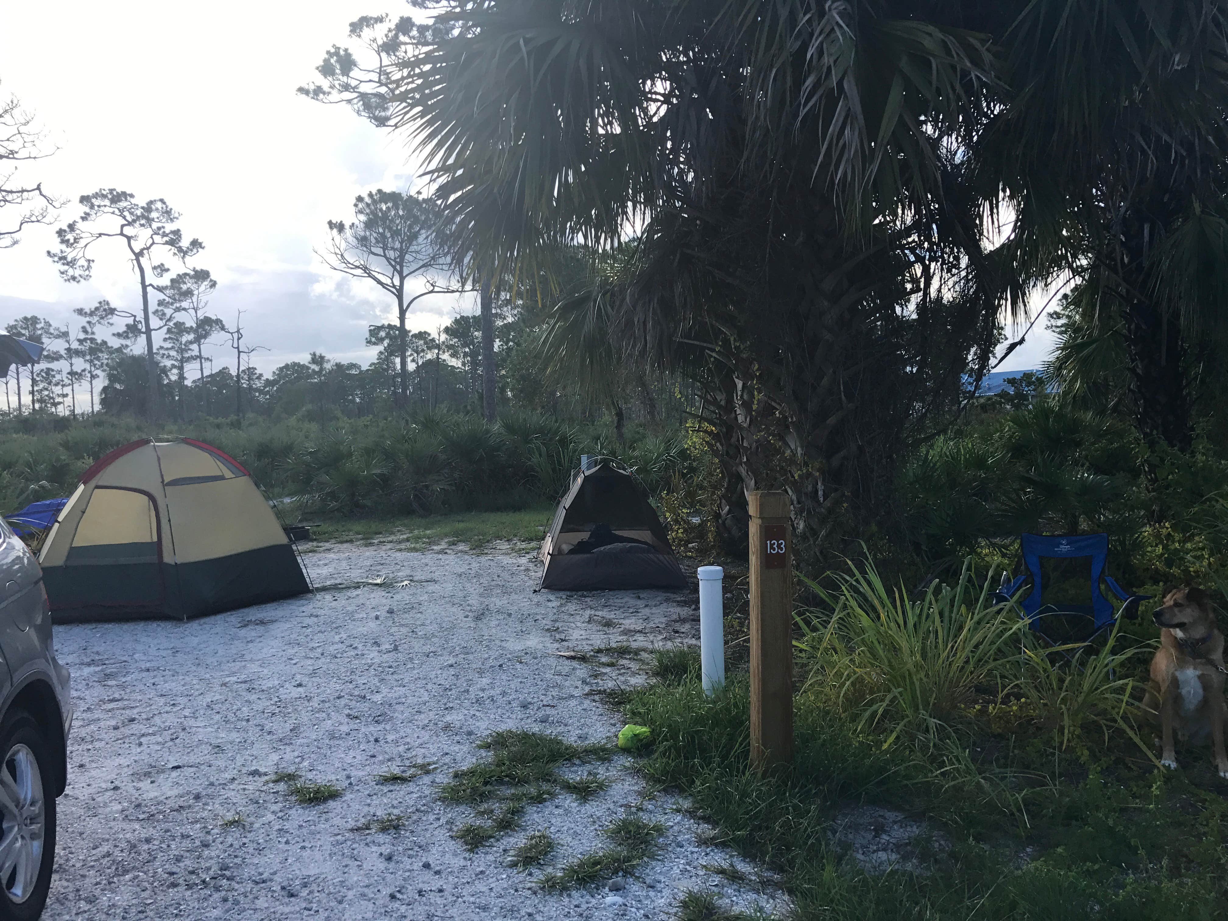 Michele J.'s photo at Pine Grove Campground — Jonathan Dickinson State Park near Stuart, FL