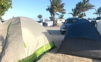 Michele J.'s photo at Boyd's Key West Campground near Big Pine Key, FL
