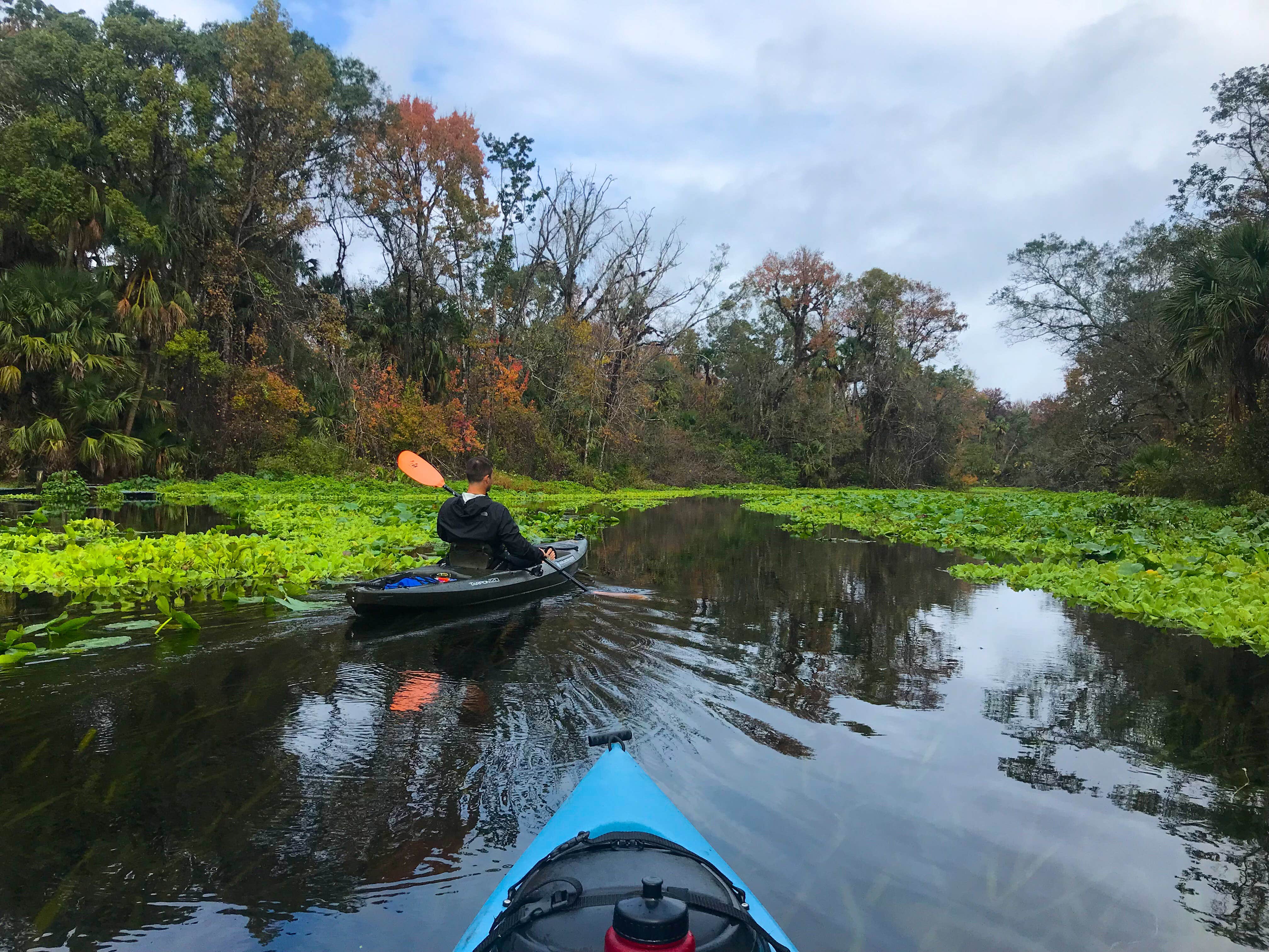 Camper-submitted photo at Kelly Rock Springs Campground near Longwood, FL