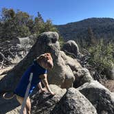 Review photo of Idyllwild Campground by Rebecca W., May 10, 2019