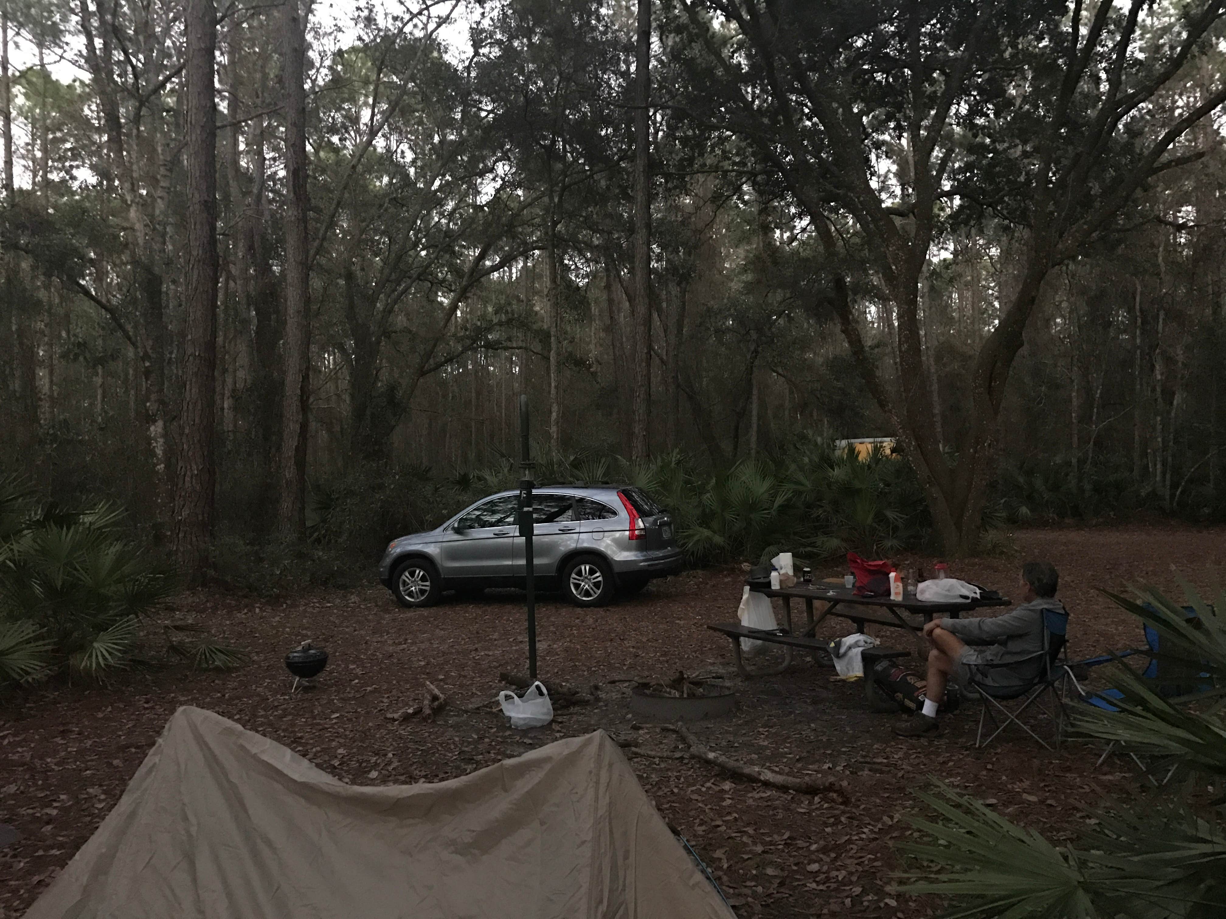 Michele J.'s photo at Rodman Campground near Micanopy, FL