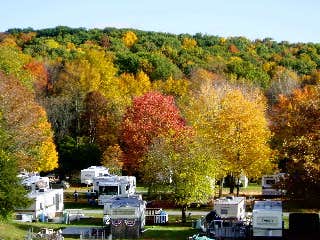 Escape to the Great Outdoors: Your Brook-N-Wood Family Campground Adventure Awaits!