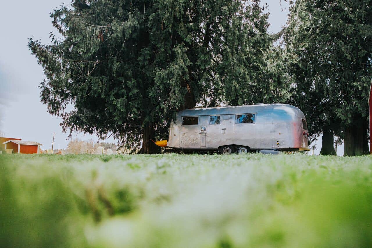 Camper submitted image from Domke Farms At The Cozy Roller - 3